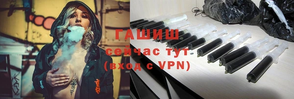 крисы Бородино