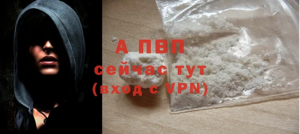 крисы Бородино