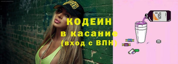 крисы Бородино