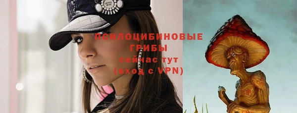 крисы Бородино
