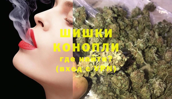 крисы Бородино
