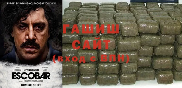 крисы Бородино