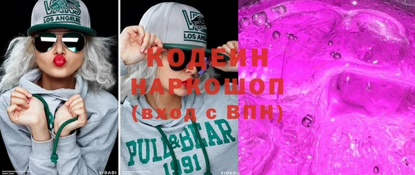 крисы Бородино