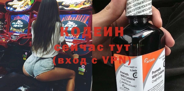 крисы Бородино
