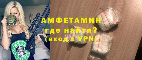 крисы Бородино