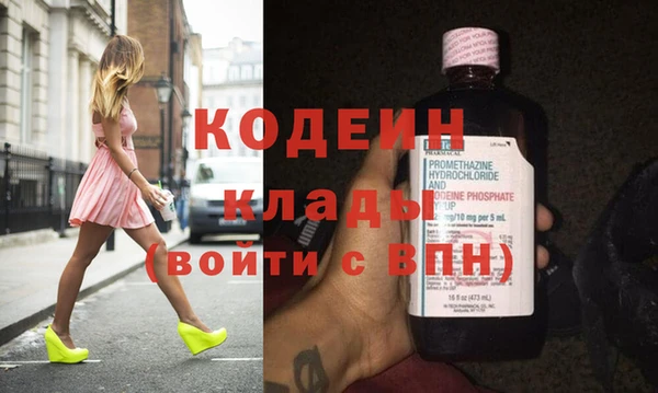 крисы Бородино