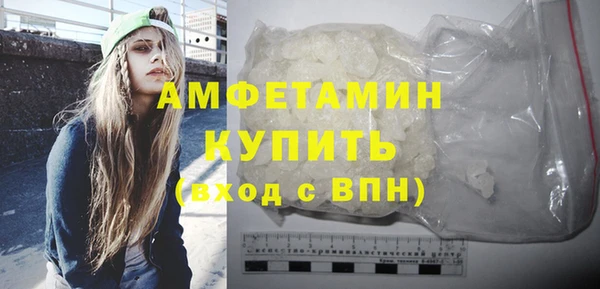 крисы Бородино